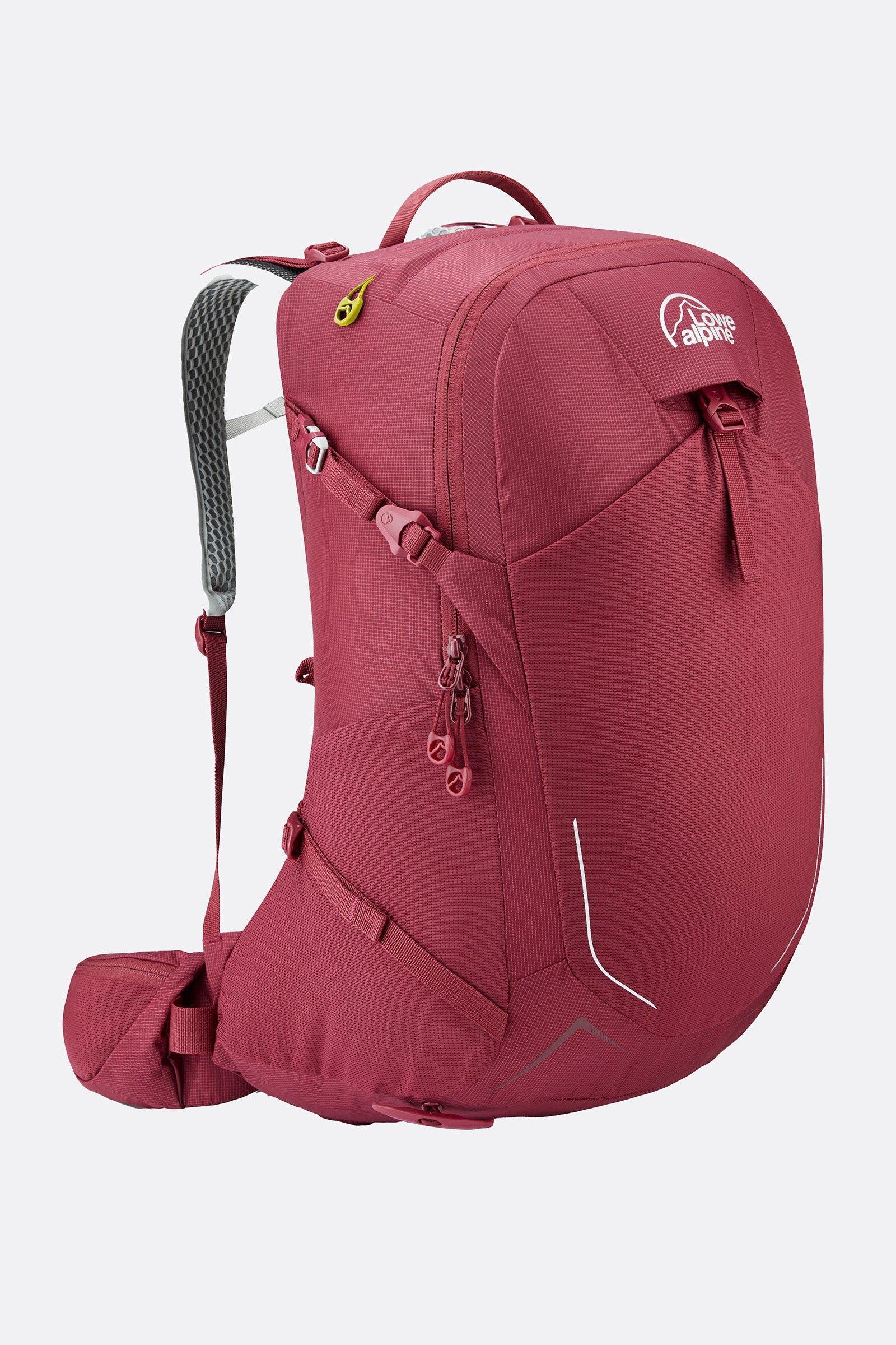 Raspberry